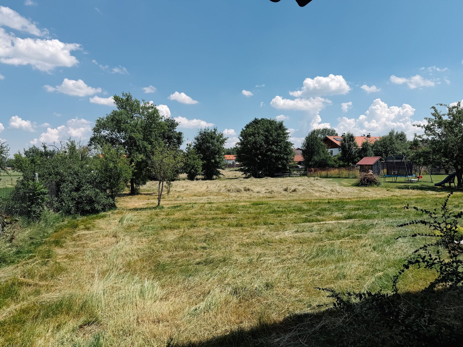 Ruhige Gartenwiese mit Obstbäumen hinter dem Ferienhaus
